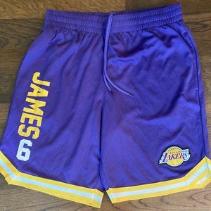 LeBron James #6 Los Angeles Lakers Jersey Shorts NBA Mens (Sz L) Purple